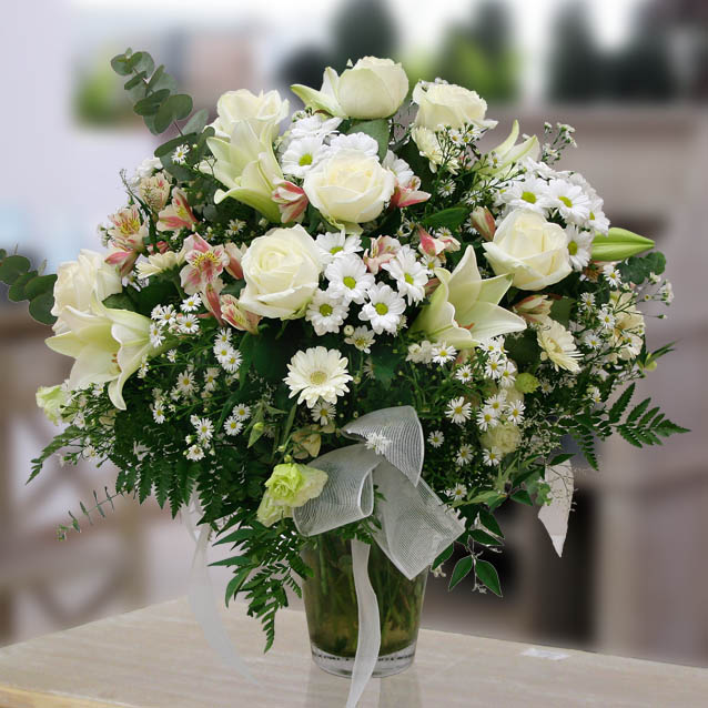 Flores Navarro