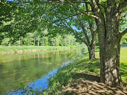 New River State Park, Wagoner Access Rd. - Thumbnail