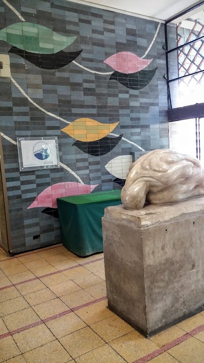 Photos of Psychiatric Institute Dr. Jos&eacute; Horwitz Barak