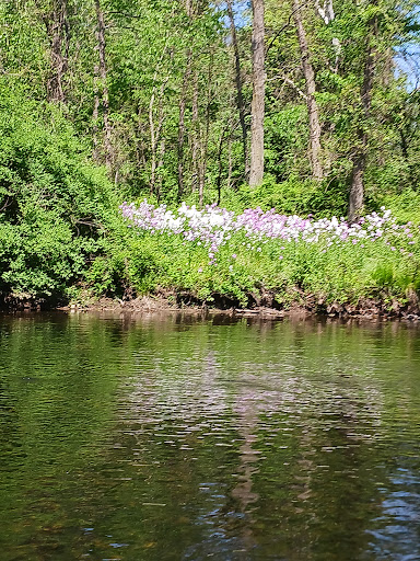 Puddletown Adventures - Thumbnail