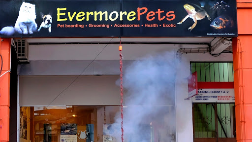 Evermore Pets