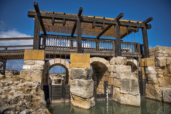 נחל תנינים - Taninim Nature Reserve, Author: Pavel Klimenko