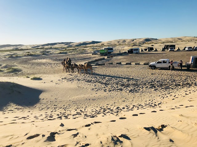 Oakfield Ranch Camel Rides