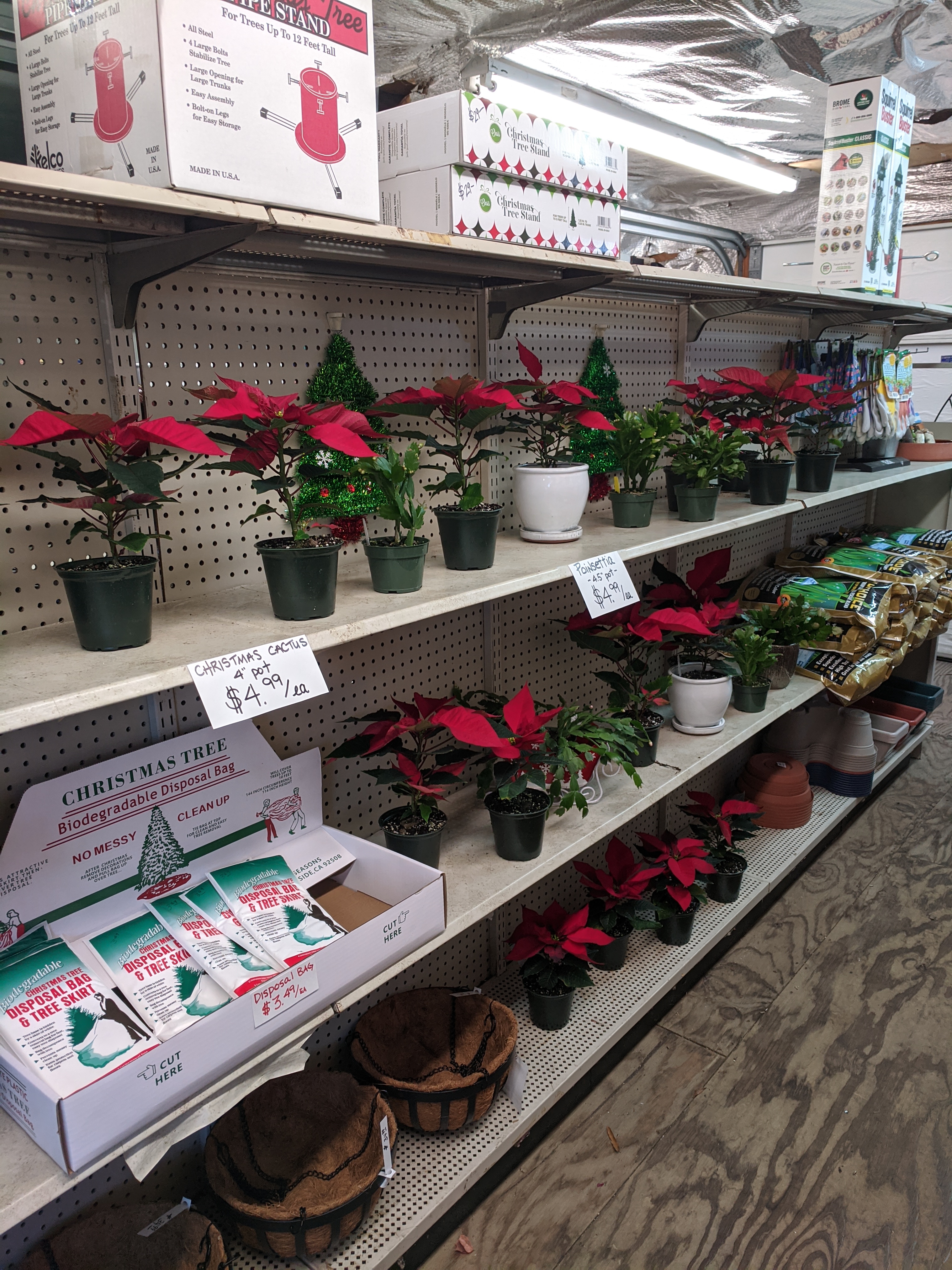 Azalea Garden Center
