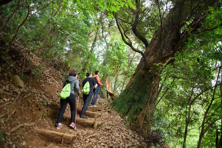 ATAMI SEKAIE by null