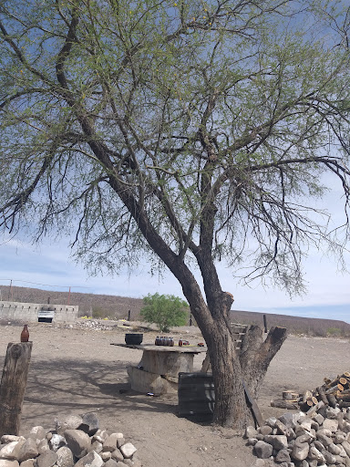 RANCHO EL MEZQUITE Gallery - Mexico
