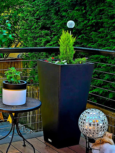 Plants4Home.com - Visual