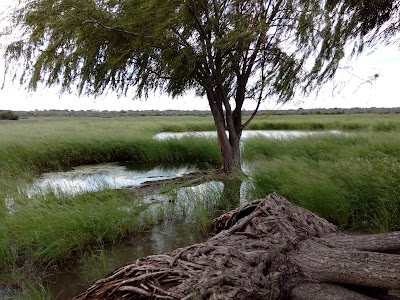 Photos of Xain Quaz Camp