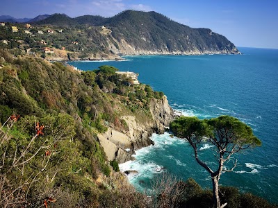 Villa Massone Sestri Levante