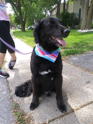 Perrysburg Animal Hospital Gallery - United States