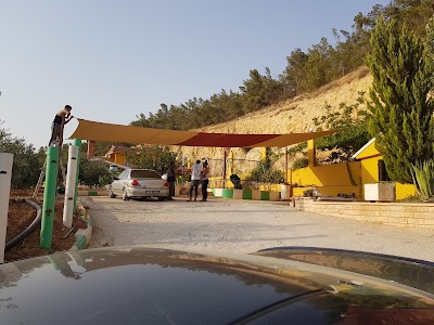 Photos of Gardenia farm