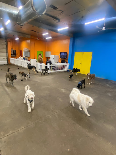 Uncle Keith's Doggie Daycare