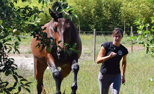 Photo n°2 de Écuries les Clés du Tao : Centre de Bien-Être pour Humains et Animaux à Puyvert (Thérapeute Reiki)