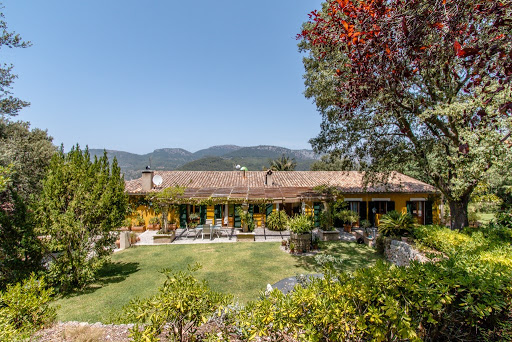 Palma Realtor - Thumbnail