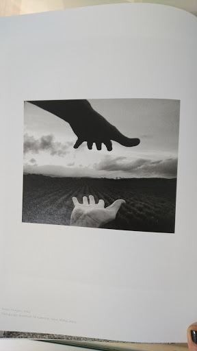 in focus Galerie - B. Arnold - Thumbnail