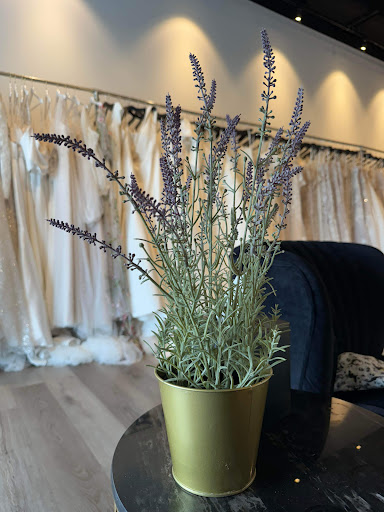 Curve Bridal Collection - Thumbnail