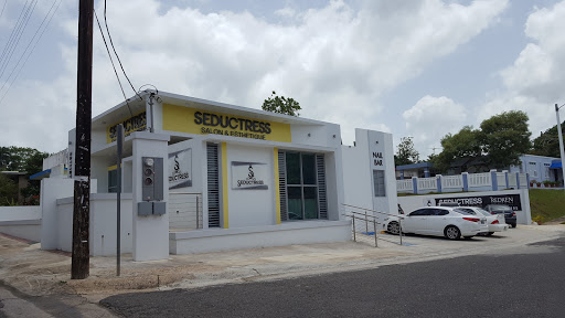 Seductress Salon & Esthetique