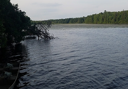 Glassboro Wildlife Management Area - Thumbnail