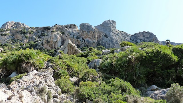 Cala Bóquer