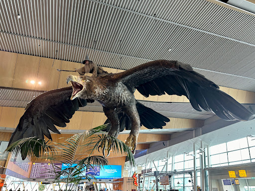 Wellington Airport Parking