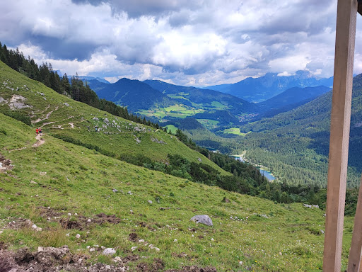 Halsalm - Visual