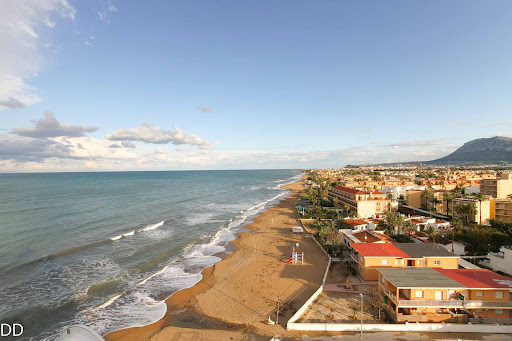 Duanes Denia SL