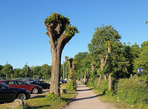 Parkplatz Exer - Thumbnail