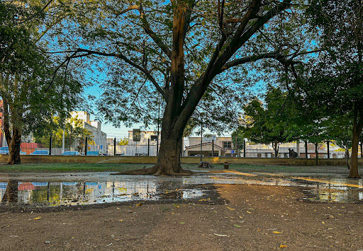 Parque Madero - Visual