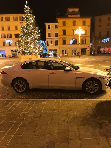 Mancini Massimo Trasporti Drive