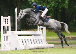 Photo n°2 de ECURIES LA GOSNIERE à Le Lion-d'Angers (Complexe sportif)