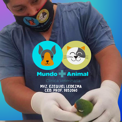 Veterinario a Domicilio en Mazatlán Ezequiel Ledezma (Mundo + Animal)