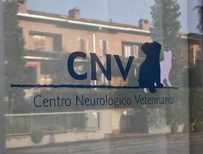 Centro Neurologico Veterinario