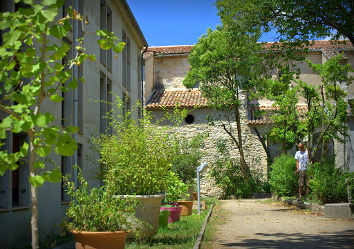 Photo de Mas de la Rivoire B&B à Villevieille (30250)