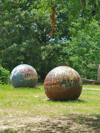 Museum of Wonder Drive Thru - Thumbnail