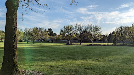 Ibach Park - Visual