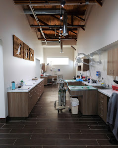 Photo of Solomon Veterinary Clinic Del propietario