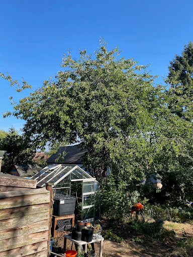 Honey Tree Surgeons Ltd - Thumbnail