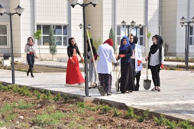 Photos of كلية الزراعة والغابات