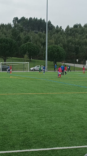 Estádio Municipal Eng.º Sílvio Henriques Cerveira - Campo de futebol