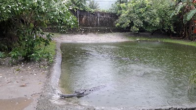 Photos of Crocodile Zoo