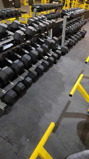Work fit gym - Thumbnail