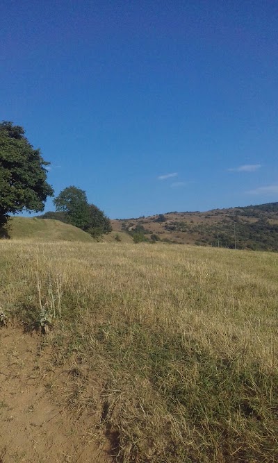 Photos of Gil'yarskaya Sosh