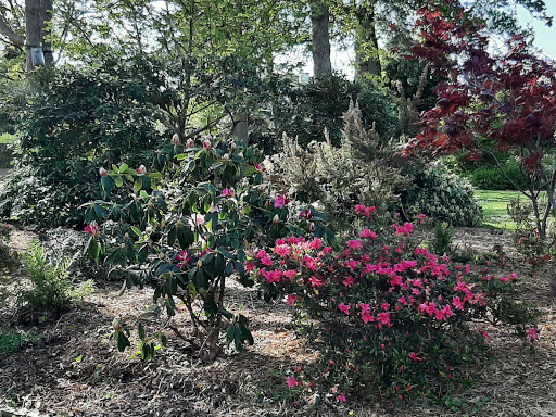 Bel Air Garden - Thumbnail