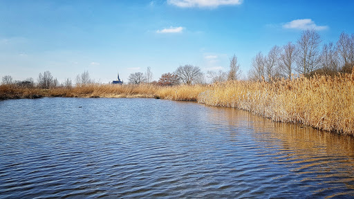 Koningssteen - Thumbnail