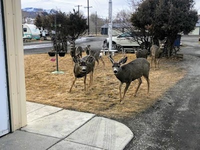 Big Sky RV Park & Campground