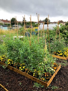 Horfield & District Allotments Association bristol