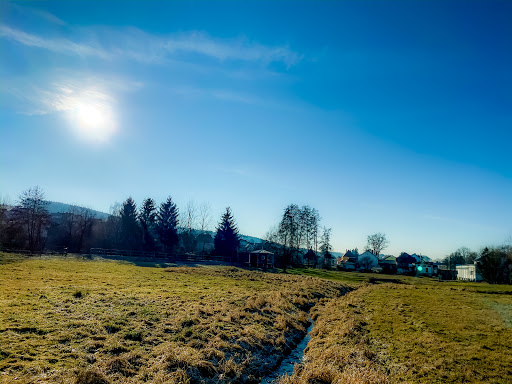 Steinbach Oberviechtach - Thumbnail