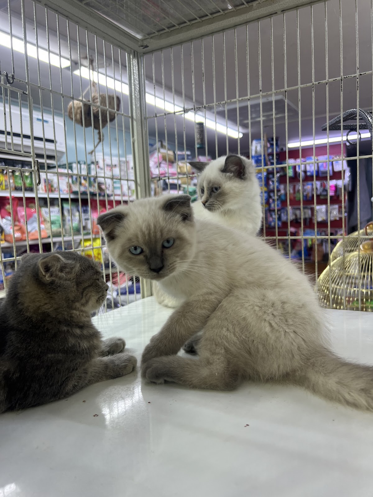 ZONE TIME BEAUTY BIRDS LLC - صورة 3