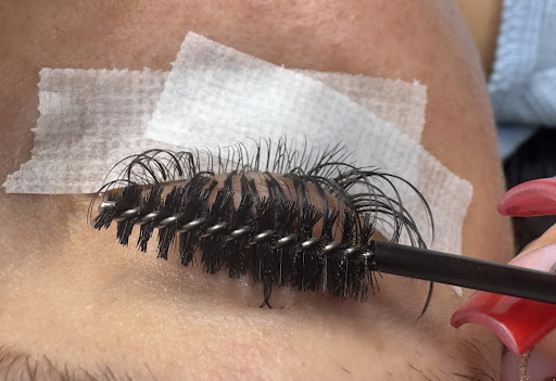 The Lash Obsession Gallery - United States