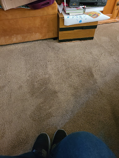Ecozyme Carpet Clean - Thumbnail